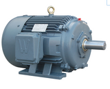 PEWWE15-12-284T Motor