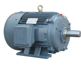 PEWWE100-18-405T motor