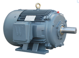 PEWWE125-18-444TBB Motor