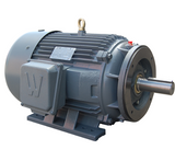 PEWWE125-18-444TC Motor