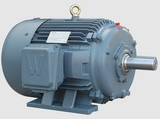 TEFC Severe Duty Motor #PEWWE15-9-286T