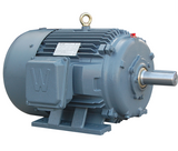 #PEWWE100-36-405TS Motor