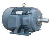 PEWWE1.5-12-182T Motor