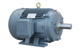 PEWWE1-12-145T Motor