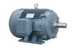 PEWWE50-18-326T Motor