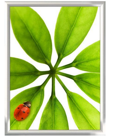 18×24 Snap Poster Frame – 1 inch Silver Profile Mitered Corner