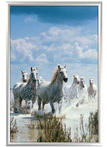 24×36 Snap Poster Frame – 1 inch Silver Profile Mitered Corner
