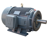 Premium Efficient Severe Duty Motor, 10 HP, 1800 RPM, 230/460V, 215TC Frame, C-Face with Feet #PEWWE10-18-215TC