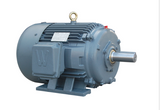 Premium Efficient Severe Duty Motor, 150 HP, 900 RPM, 230/460V, 449T Frame, Rigid Base #PEWWE150-9-449T